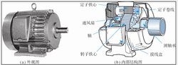 感应电动机的外观及内部结构