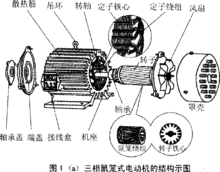 鼠笼式电动机结构示意图