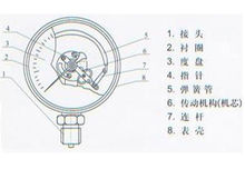 耐振压力表内部结构图